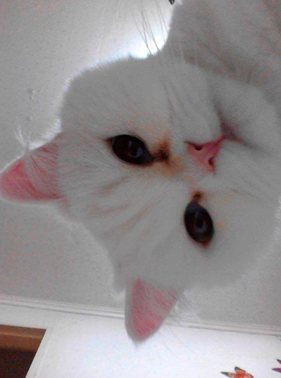 32669e9e1837fd0276b3fb169cf00d54.jpeg : 네X이 머리 아파서 글 제목이 막 섞여보여 32669e9e1837fd0276b3fb169cf00d54.jpeg : 네X이 머리 아파서 글 제목이 막 섞여보여