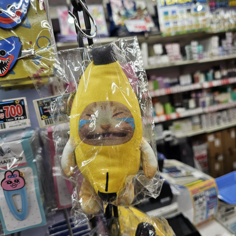 20240318_010620.jpg : 해피해피해피~ 20240318_010620.jpg : 해피해피해피~