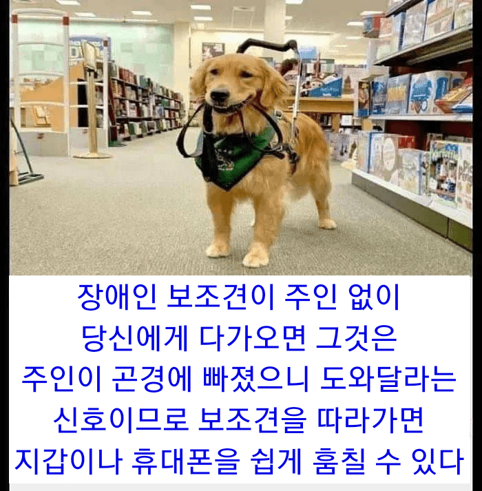 DE061243-6897-4E6F-A0AB-BCC037D8F7FD.png : 은근 꿀팁 DE061243-6897-4E6F-A0AB-BCC037D8F7FD.png : 은근 꿀팁