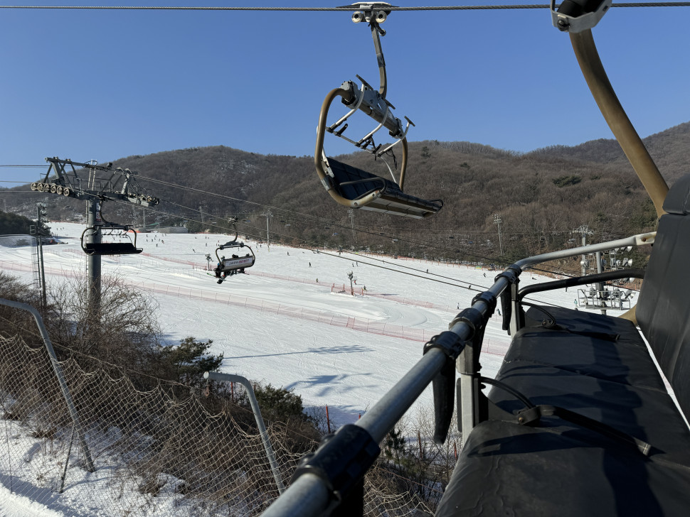 IMG_9435.jpeg : 네흥이는혼자다 IMG_9435.jpeg : 네흥이는혼자다