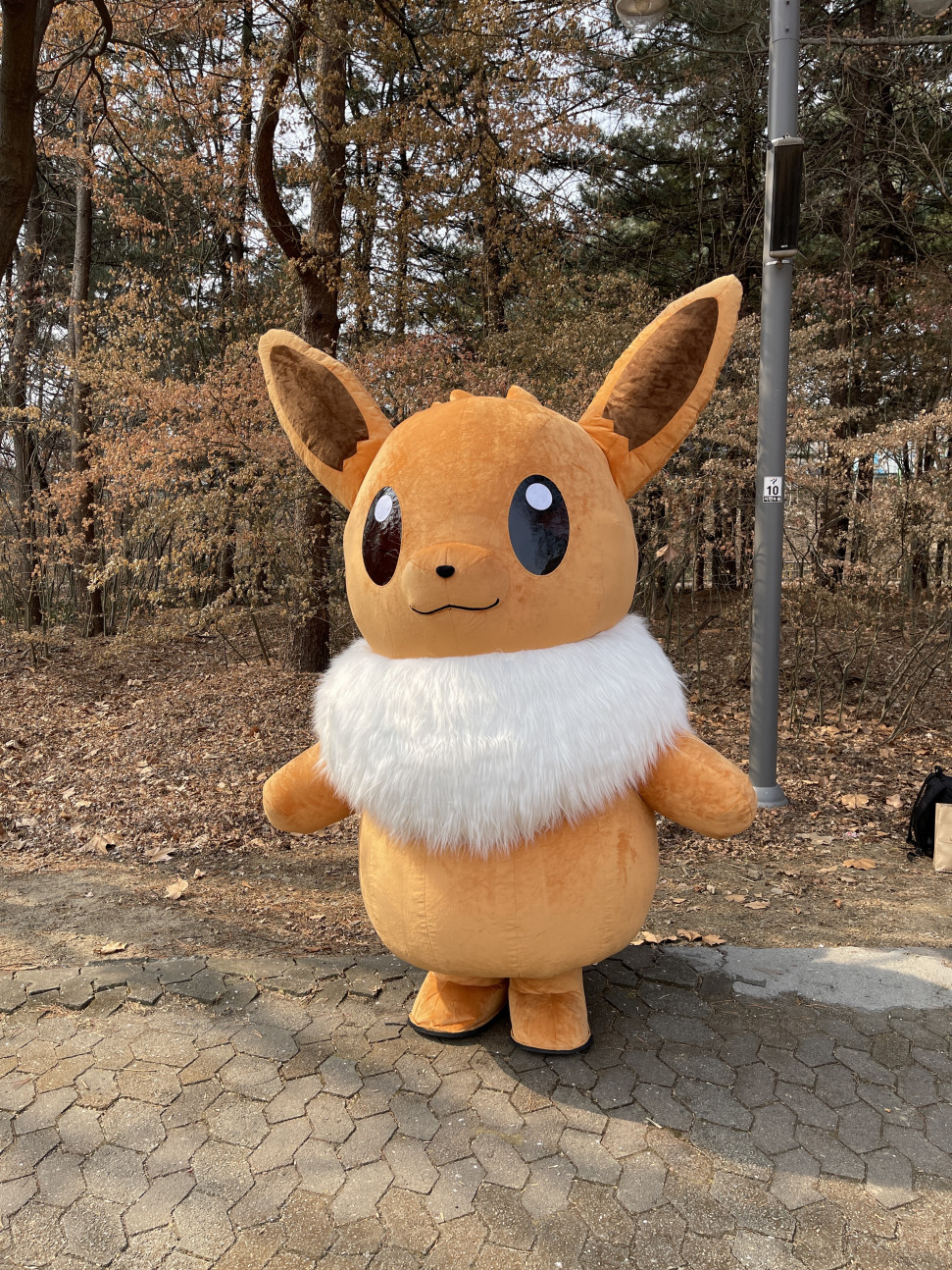 ED1D86FA-ECB8-4F34-B771-4ABB93E3B6AB.jpeg : 이거 존나 네흥이다 ED1D86FA-ECB8-4F34-B771-4ABB93E3B6AB.jpeg : 이거 존나 네흥이다