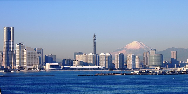 035.jpg : 아마존 킨들도 사놓아볼까 035.jpg : 아마존 킨들도 사놓아볼까
