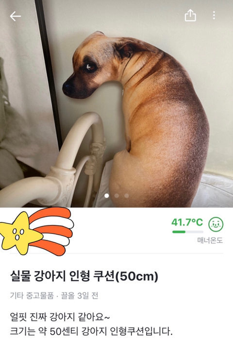 1665680257842.jpg : 이 강아지쿠션좀 탐난다 1665680257842.jpg : 이 강아지쿠션좀 탐난다