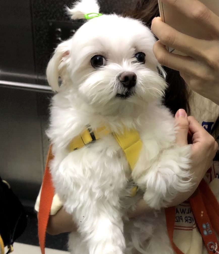 6B9452E3-D04C-4581-A8C4-A556486A5F81.jpeg : 또잉? 6B9452E3-D04C-4581-A8C4-A556486A5F81.jpeg : 또잉?