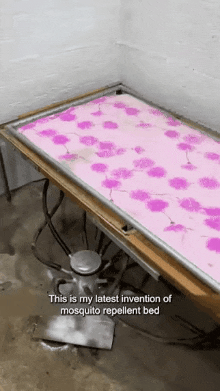1691517585831.gif : 모기 퇴치 침대 1691517585831.gif : 모기 퇴치 침대