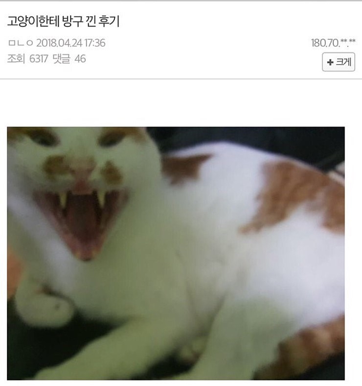 externalFile (22).jpg : 드립 커피 한 잔에 externalFile (22).jpg : 드립 커피 한 잔에