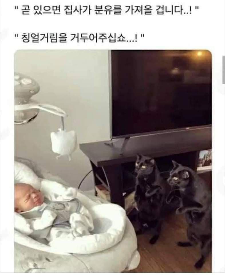 1708186504.jpg : 네흥이 감기기운있다