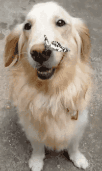 1622777407-2.gif : 로또 낙첨됐당 1622777407-2.gif : 로또 낙첨됐당