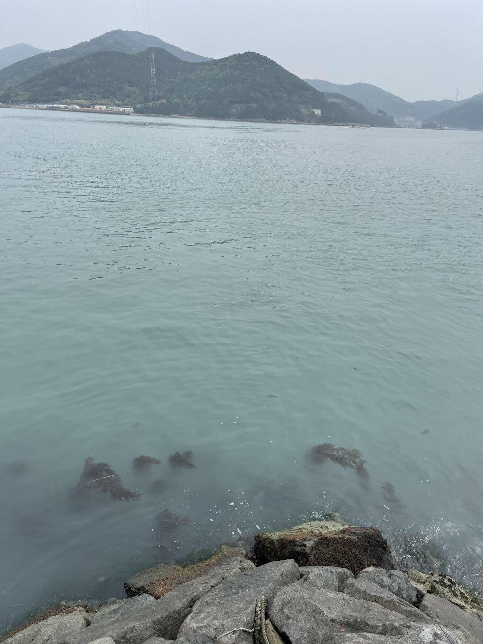 8CF12354-4EE5-4BA2-B5B2-E888DB3D7824.jpeg : 필살기 썼다 8CF12354-4EE5-4BA2-B5B2-E888DB3D7824.jpeg : 필살기 썼다