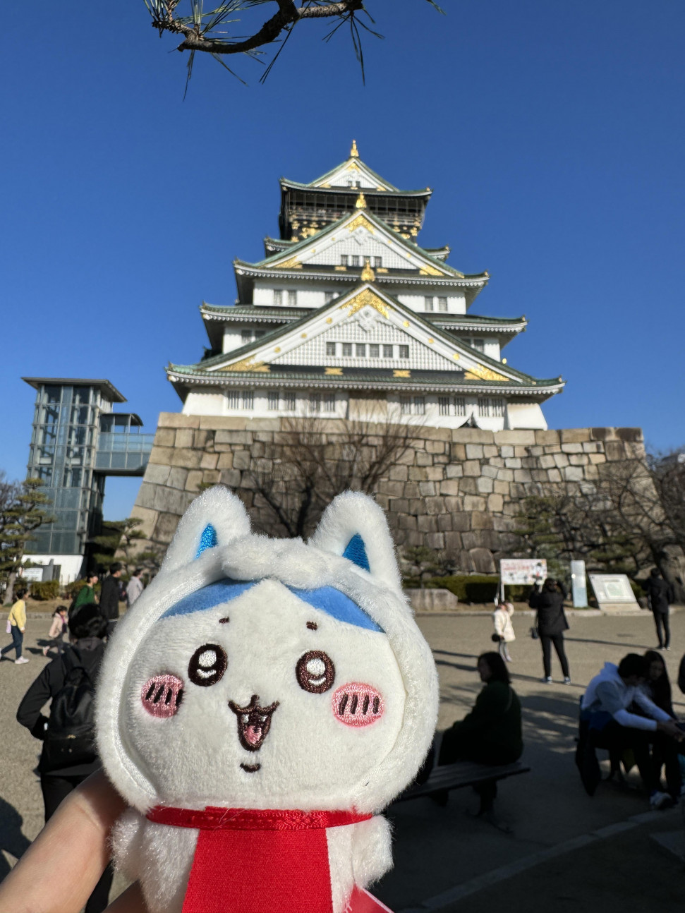 IMG_9106.jpeg : 네흥 프사 뭐쓰지 IMG_9106.jpeg : 네흥 프사 뭐쓰지
