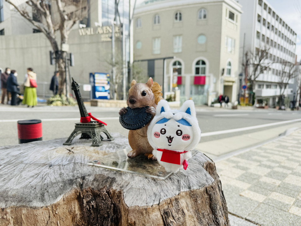 IMG_9070.jpeg : 네흥 프사 뭐쓰지 IMG_9070.jpeg : 네흥 프사 뭐쓰지