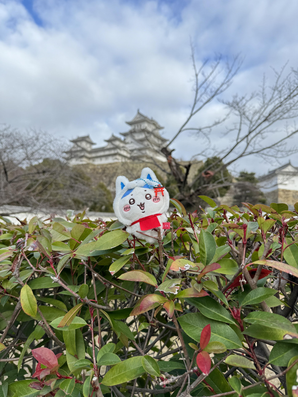 IMG_9074.jpeg : 네흥 프사 뭐쓰지 IMG_9074.jpeg : 네흥 프사 뭐쓰지