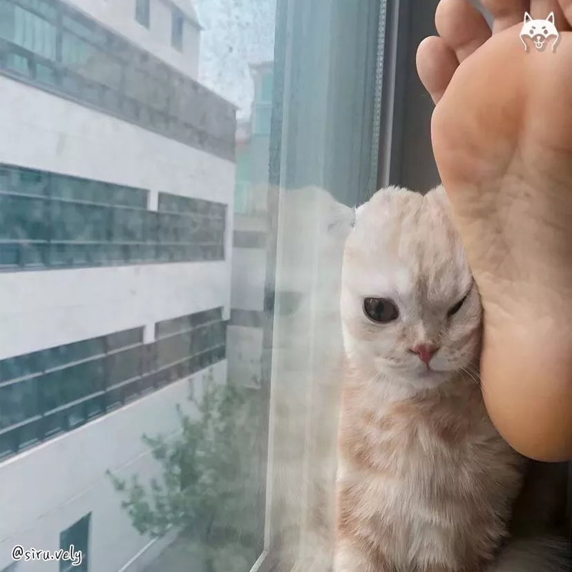 helloexport1561082312383.jpg : 그만 괴롭혀 이인간아~~ helloexport1561082312383.jpg : 그만 괴롭혀 이인간아~~