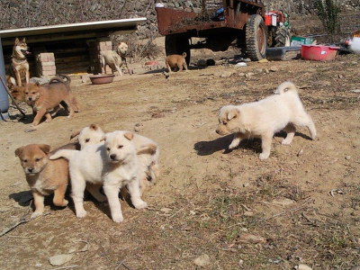 7E78F148-13E1-4320-952A-28BA1335A591.jpeg : 내년에 21살 틀딱된다 하... 7E78F148-13E1-4320-952A-28BA1335A591.jpeg : 내년에 21살 틀딱된다 하...