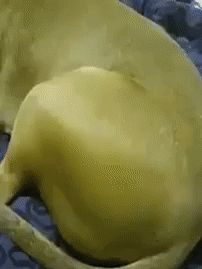 1495977445101.gif : 오늘밤엔자다가죽게해주세요 1495977445101.gif : 오늘밤엔자다가죽게해주세요
