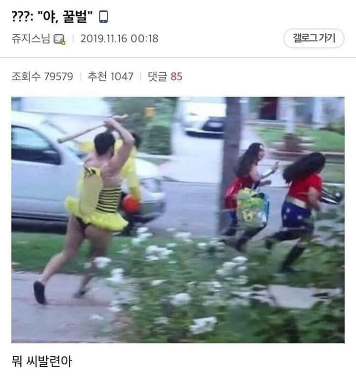 626660CA-B007-4B1E-A5E0-CBF6682507AF.jpeg : 야 꿀벌 626660CA-B007-4B1E-A5E0-CBF6682507AF.jpeg : 야 꿀벌