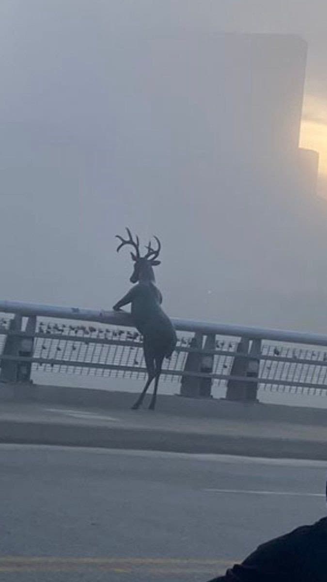 1661003177.jpg : 상위 0.1퍼센트들의 판단은 해설을 들으면 놀라고 이내 납득하게 되지만 1661003177.jpg : 상위 0.1퍼센트들의 판단은 해설을 들으면 놀라고 이내 납득하게 되지만