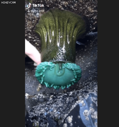 1580871804.gif : 요게모까 1580871804.gif : 요게모까