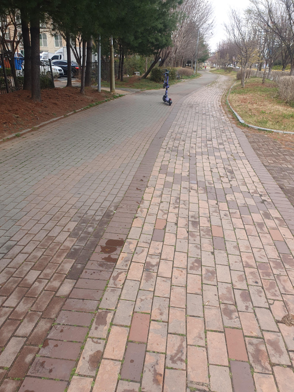 20250329_133305.jpg : 귀신 같이 비 그침 20250329_133305.jpg : 귀신 같이 비 그침