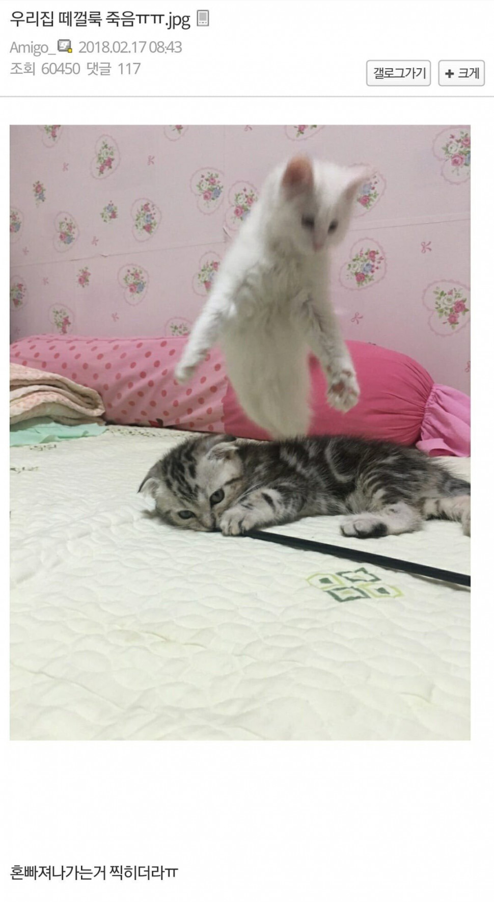 2437c324213aae2513d1a877cb58a351.jpeg : 아니 근데 츤데레봇 쓰지도 않으면서 2437c324213aae2513d1a877cb58a351.jpeg : 아니 근데 츤데레봇 쓰지도 않으면서