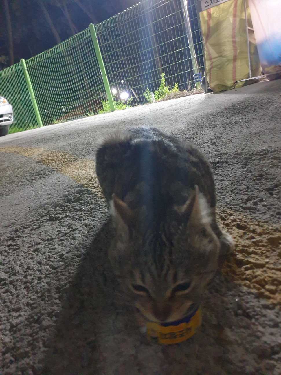20210402_203510.jpg : (공식)네흥이의 카레교실 외전 20210402_203510.jpg : (공식)네흥이의 카레교실 외전