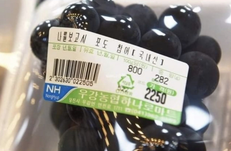 1651218983063.jpg : 나를보고시퍼도 참어 1651218983063.jpg : 나를보고시퍼도 참어