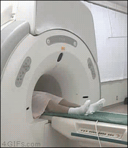 58CE37C0-EDF8-4439-90F4-4C619D8C87B3.gif : ㅋㅋㅋㅋㅅㅂ이게무야 58CE37C0-EDF8-4439-90F4-4C619D8C87B3.gif : ㅋㅋㅋㅋㅅㅂ이게무야