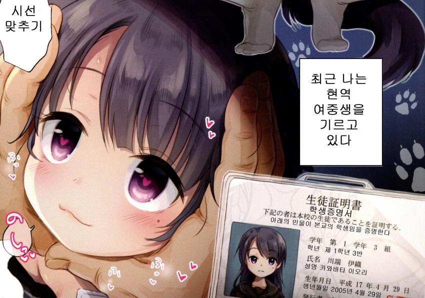 1560224463559.jpg : 나른한 오후 1560224463559.jpg : 나른한 오후