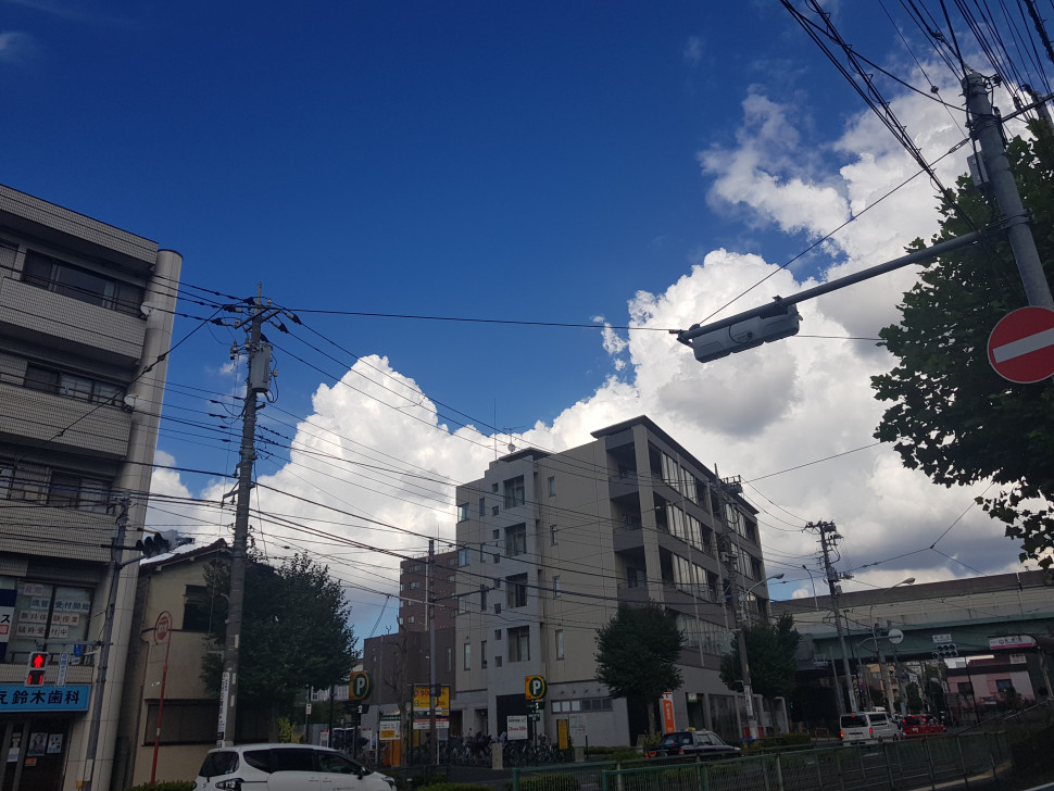 20200827_151922.jpg : 날씨 좋다 20200827_151922.jpg : 날씨 좋다