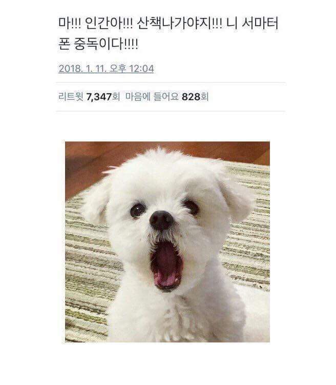 39891633_1283300455144610_6946323613674897408_n.jpg : 배고팡 39891633_1283300455144610_6946323613674897408_n.jpg : 배고팡