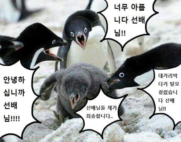 6a2c6aa1ccc0b9d895c31cbb2d471b6d.jpeg : 선배님!!!! 6a2c6aa1ccc0b9d895c31cbb2d471b6d.jpeg : 선배님!!!!