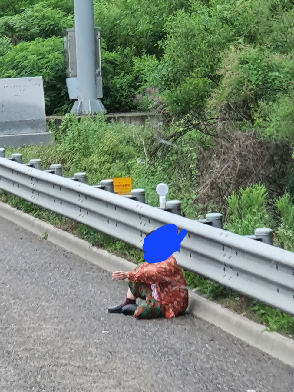 20220627_200254.jpg : 네냥이 싱고한거 20220627_200254.jpg : 네냥이 싱고한거