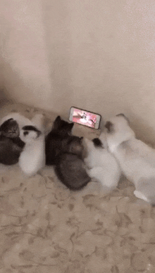 1577217590.gif : 아 잠안와 1577217590.gif : 아 잠안와