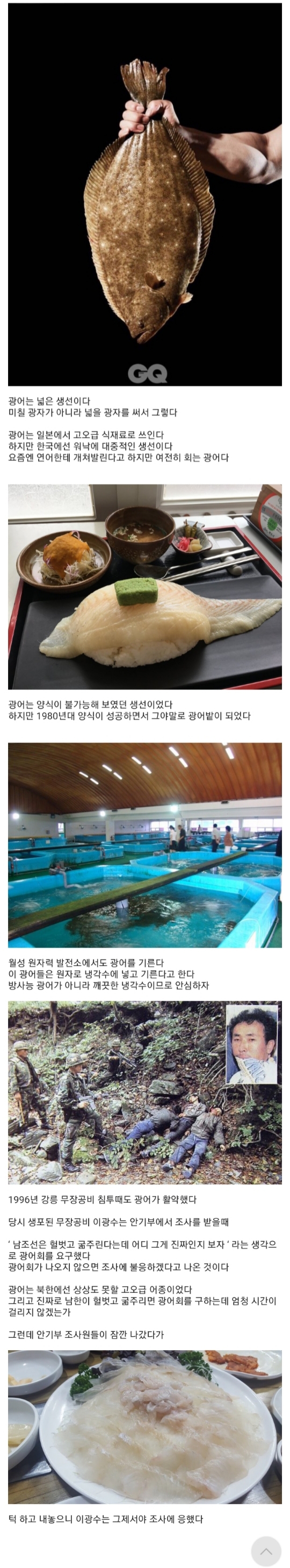 5D3956C2-B009-4D2C-B758-9A58F418F129.jpeg : 광어모노가타리 5D3956C2-B009-4D2C-B758-9A58F418F129.jpeg : 광어모노가타리