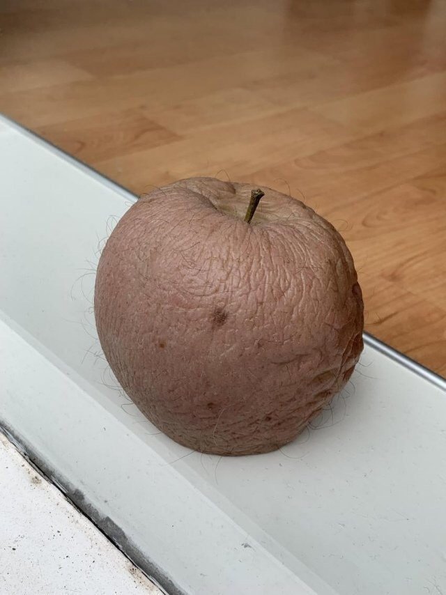 1574227328.jpg : 앗 집에 사놓은 키위