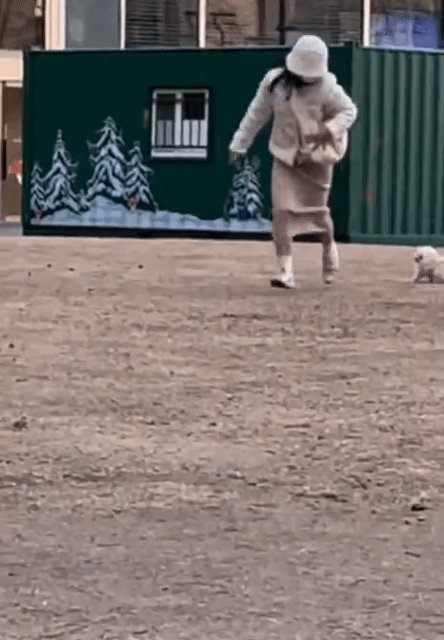 1677627066583.gif : 개는 주인을 닮는다 1677627066583.gif : 개는 주인을 닮는다