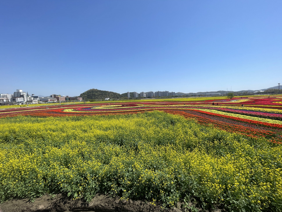 5D978FE1-F28D-40F8-A7BD-ED6C0000529D.jpeg : 여친이랑 데이트 함 ㅎㅎ 5D978FE1-F28D-40F8-A7BD-ED6C0000529D.jpeg : 여친이랑 데이트 함 ㅎㅎ
