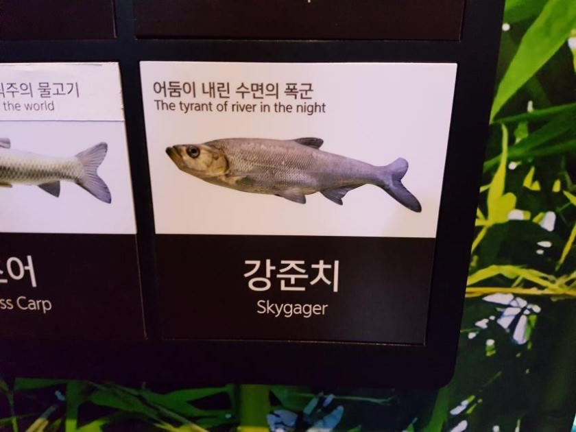 07601a323883cae18417141b6a0ecc22.jpeg.jpg : 어제부터 자꾸 몽키매직이 머리에서 안떠남 07601a323883cae18417141b6a0ecc22.jpeg.jpg : 어제부터 자꾸 몽키매직이 머리에서 안떠남