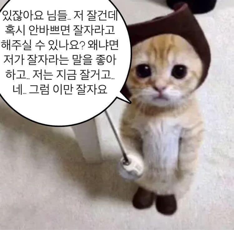 2CC8688D-8547-4426-9ADB-256CF2EDACFD.jpeg : 자러감 2CC8688D-8547-4426-9ADB-256CF2EDACFD.jpeg : 자러감