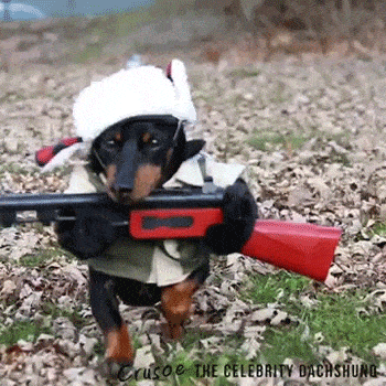 2.gif : 더 보이 보고싶뽀이! 2.gif : 더 보이 보고싶뽀이!