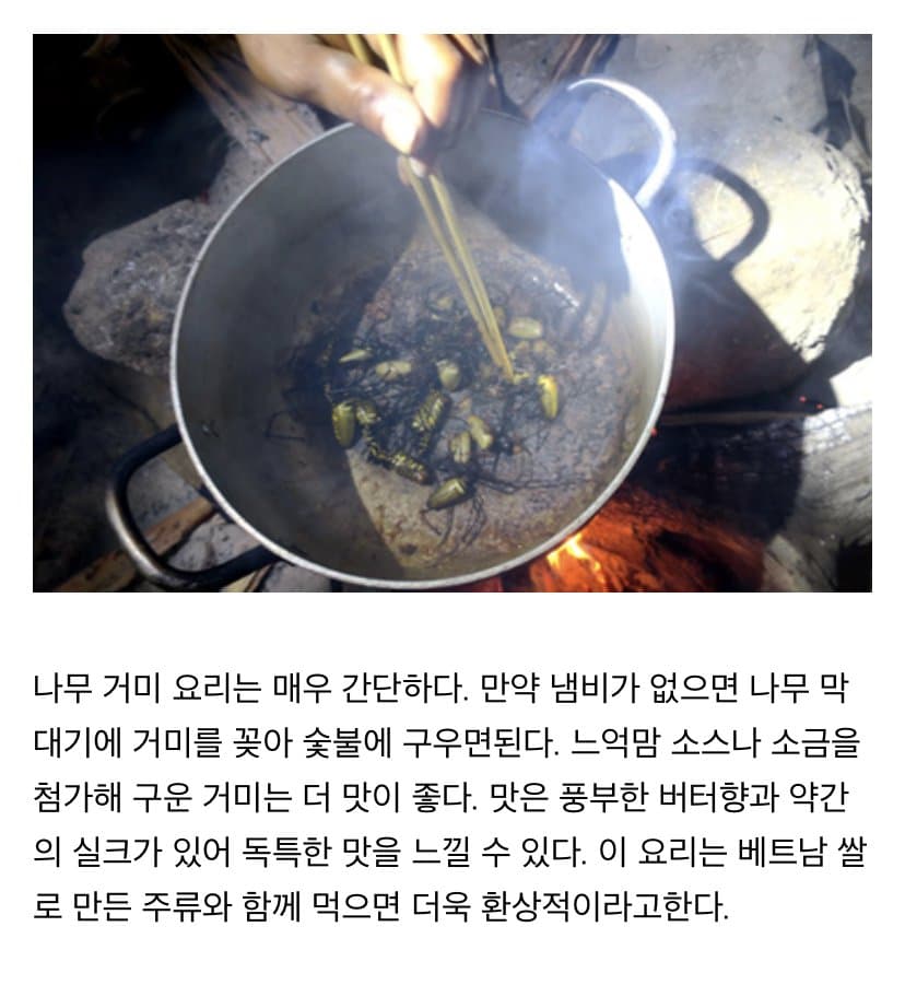 0B6BDE98-1D0F-4D56-AC6F-3DC7E044164B.jpeg : X미 먹방 0B6BDE98-1D0F-4D56-AC6F-3DC7E044164B.jpeg : X미 먹방