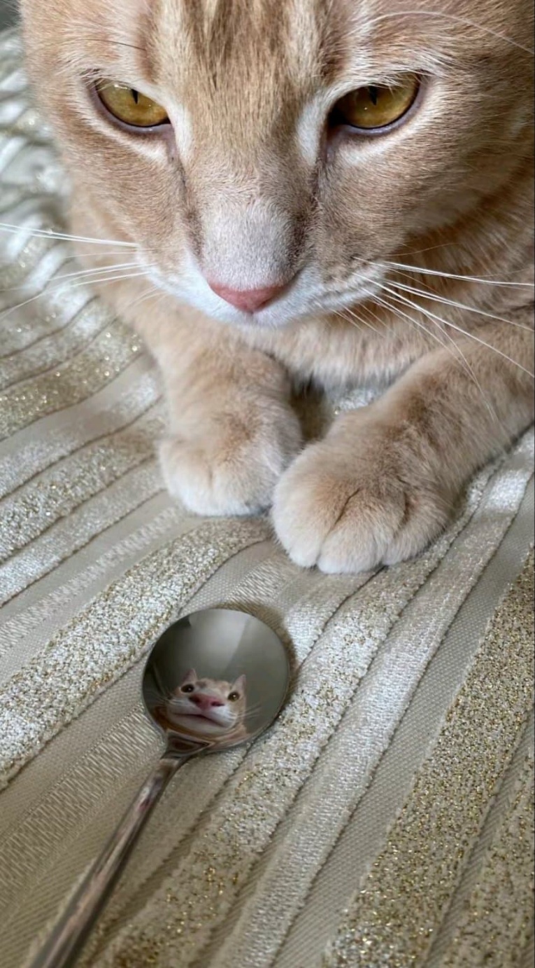 a7ae8a82b776ae213b7ac56e0b37cb42.jpeg : 일찍일어나는 새가 벌레를 잡는다 a7ae8a82b776ae213b7ac56e0b37cb42.jpeg : 일찍일어나는 새가 벌레를 잡는다