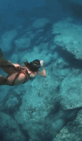 1569188860.gif : 야 쥬지 1569188860.gif : 야 쥬지