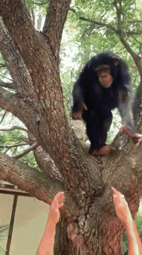 1566150906.gif : 까스활명수 사러 약국을 가서 덤으로 두통약을 샀는데 1566150906.gif : 까스활명수 사러 약국을 가서 덤으로 두통약을 샀는데