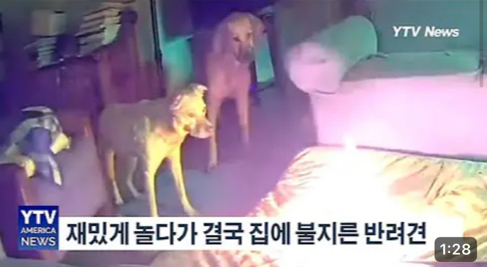 3e97e7d641b99166774e5cbf673d7b9d3e37aabd.jpeg : 인간의 존엄성 가까스로 지켜냈다 3e97e7d641b99166774e5cbf673d7b9d3e37aabd.jpeg : 인간의 존엄성 가까스로 지켜냈다