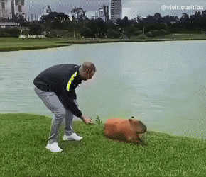 1663196552886.gif : 졸려 1663196552886.gif : 졸려