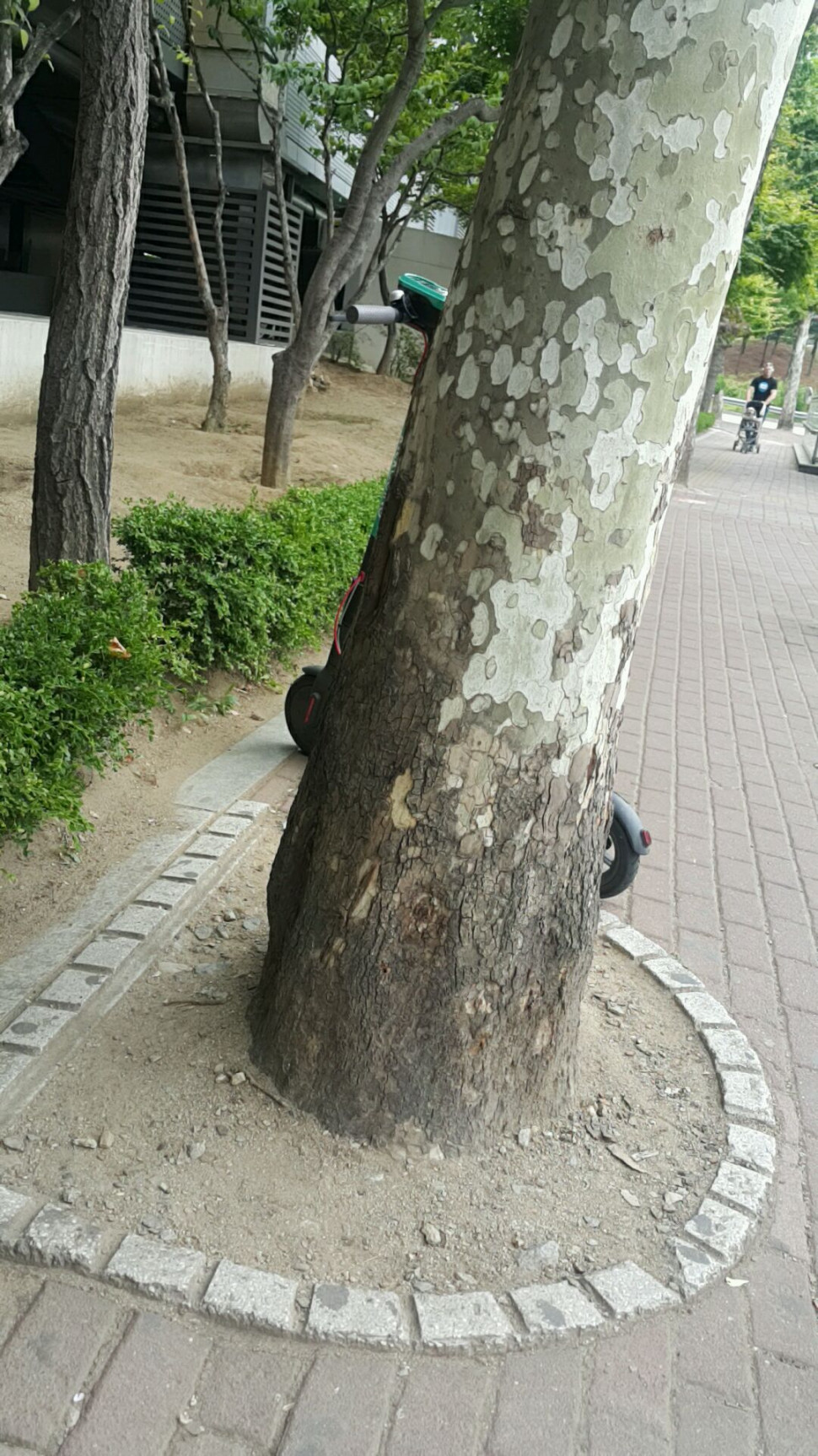 20190530_134901_244.jpg : 누가 전동기 버리고감 20190530_134901_244.jpg : 누가 전동기 버리고감