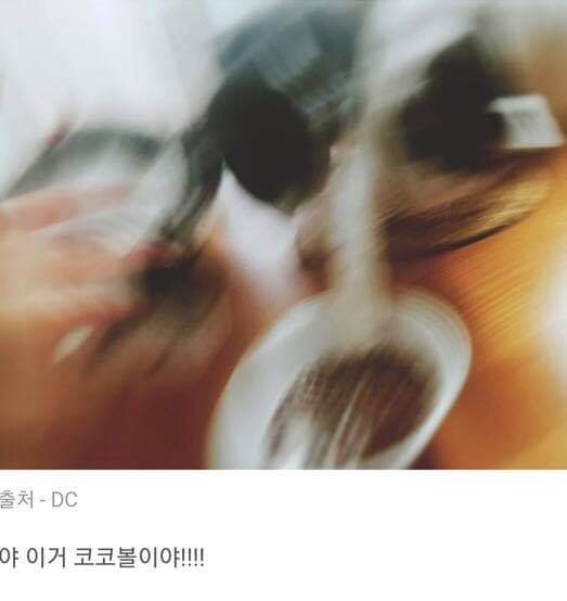 44593805_295964544349127_2126189505089110016_n.jpg : 고양이 사료를 우유에 말아먹는 집사