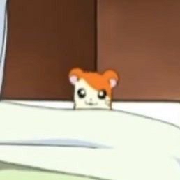 ht-save-2024-05-30 02_42_20.jpg : 네흥이 오늘은 어깨했어요 ht-save-2024-05-30 02_42_20.jpg : 네흥이 오늘은 어깨했어요