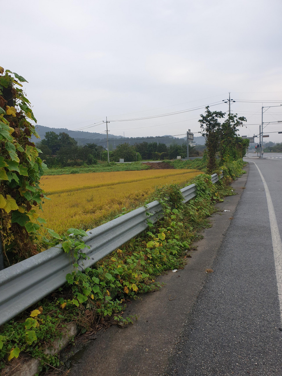 20201004_084621.jpg : 후 날씨 딱 조타 20201004_084621.jpg : 후 날씨 딱 조타